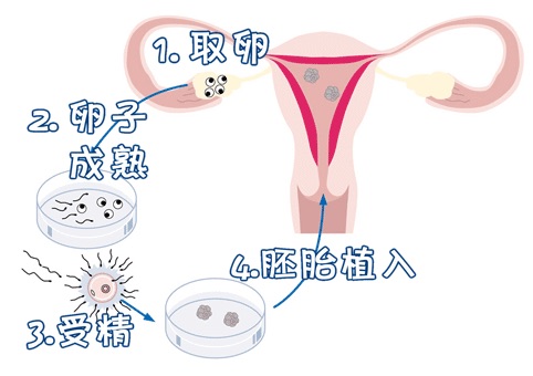 景泰胚胎实验室